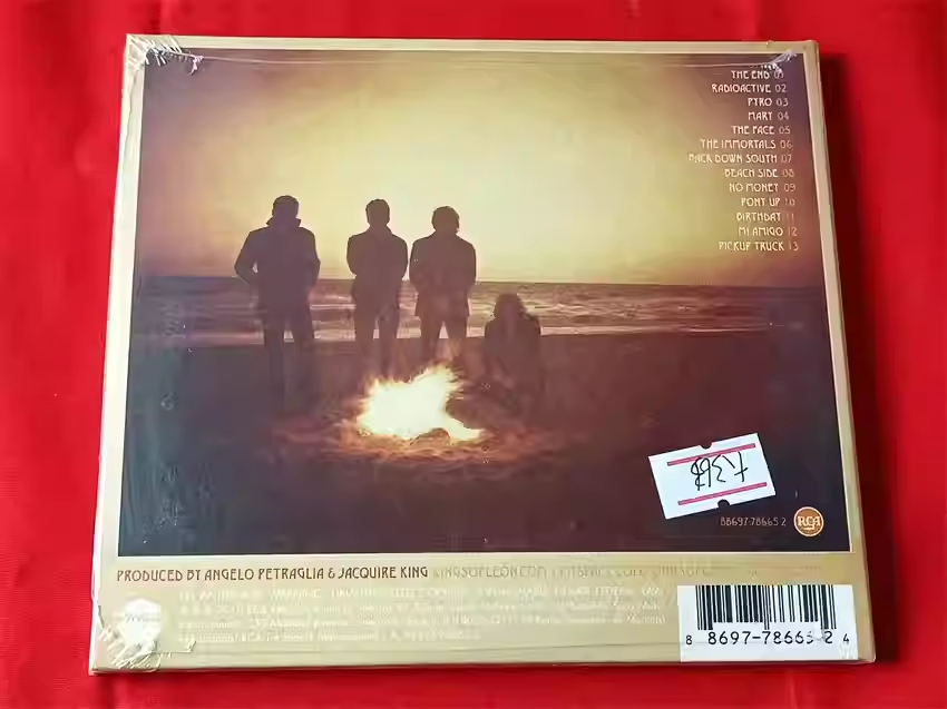 CD Alternatywny Rock Album Kin – Audio Music Recording recenzja i cena
